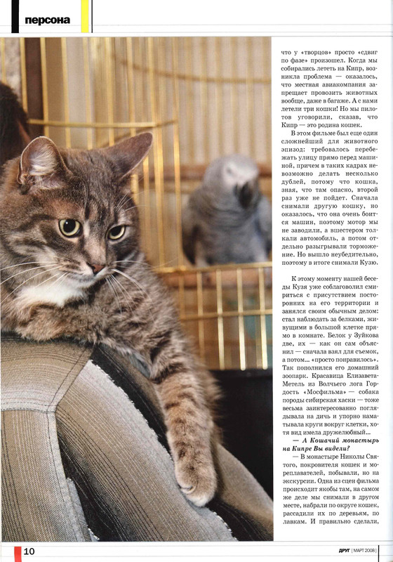 Друг кошек 2008-03-11