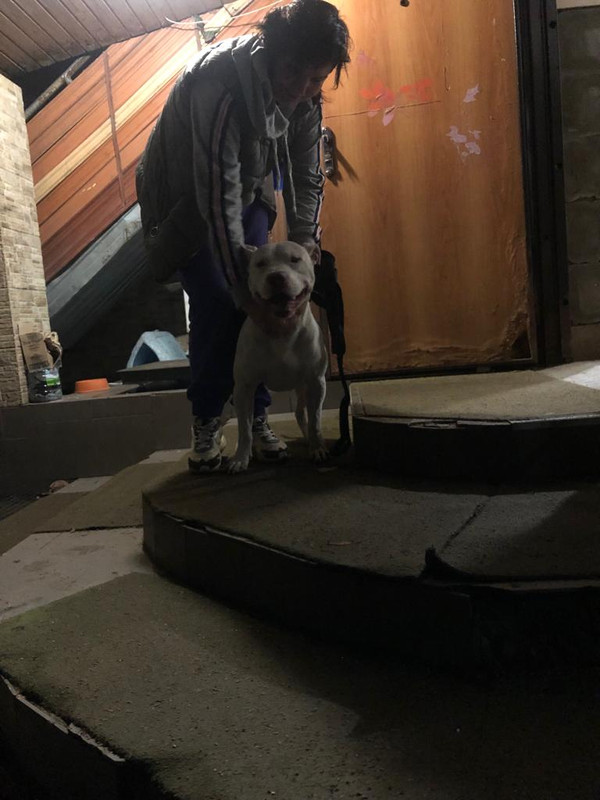 5EE3B90A-497B-4D24-9172-C88758EAD718