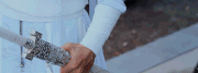 https://i.postimg.cc/rmqQ7P9H/ezgif-1-4aa861c5fd.gif