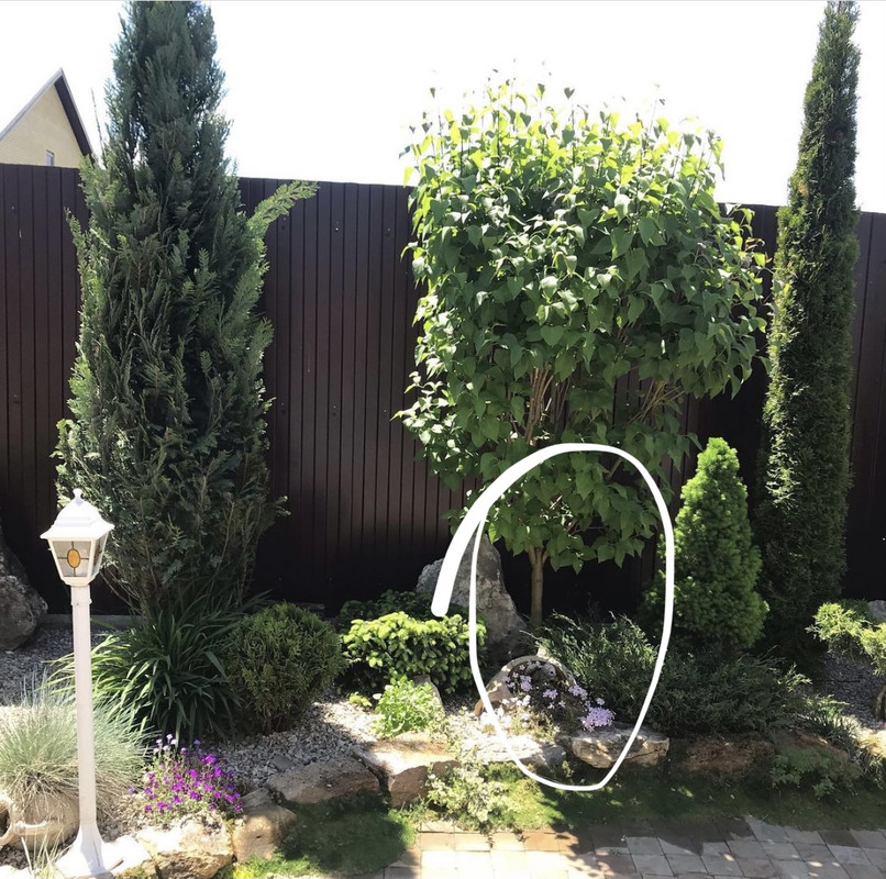 E7EFF682-AEB0-4BEC-8D8B-AB1F6151365E