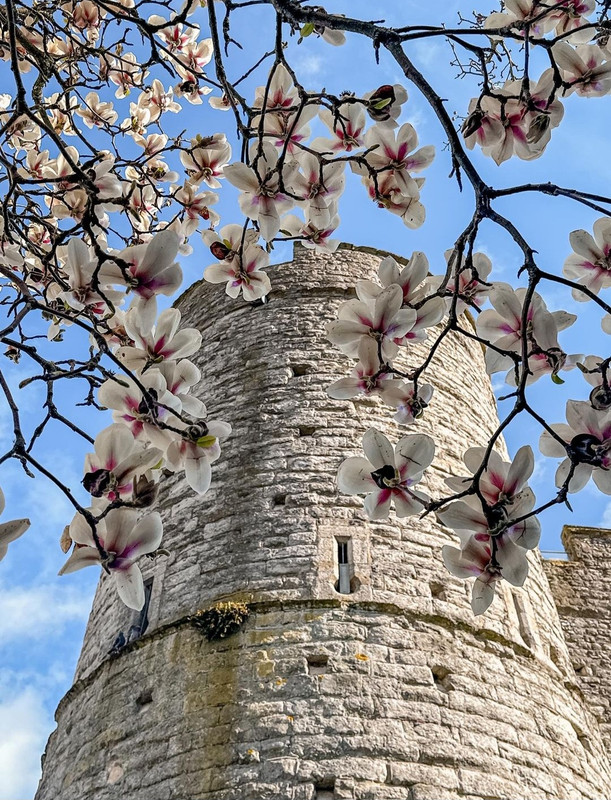 Screenshot_20240429_212222_Threads