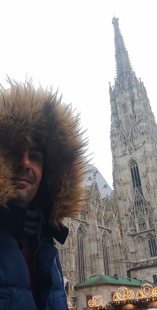 Viena - Bratislava - Praga, Navidad 2024 - Blogs de Europa Central - Mercados Navideños de Viena y Catedral (2)