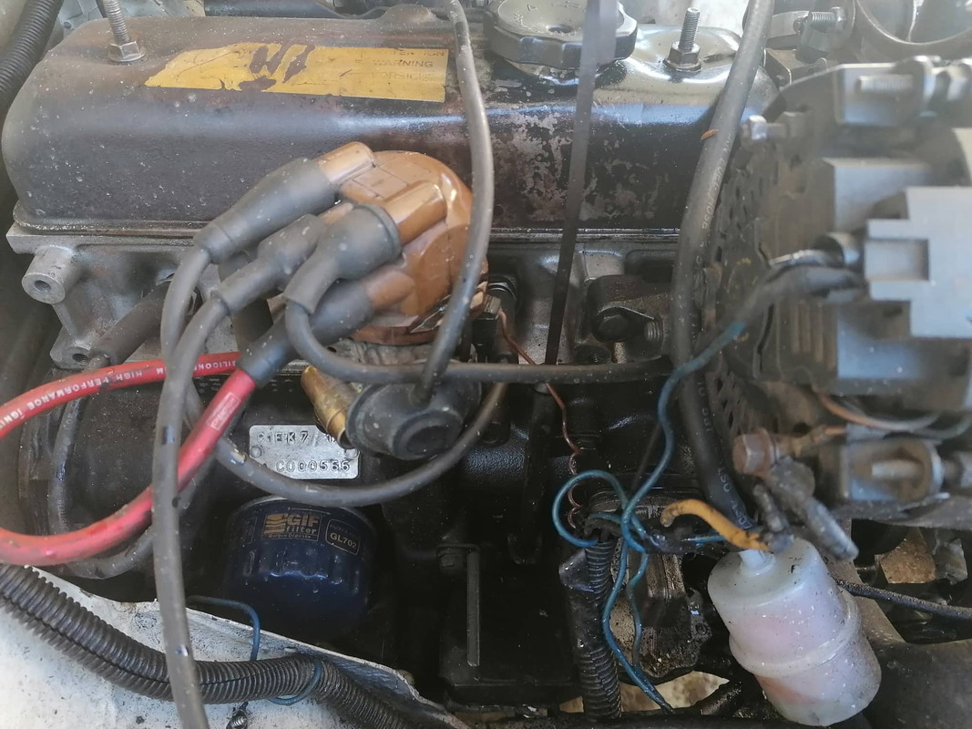 129954831_3633945856673463_1529958357065892548_n