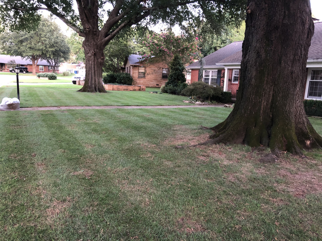 96373789-6A87-42E4-BE65-73C61255BE1D