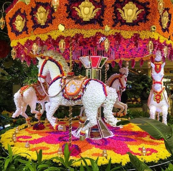 multi-floral-carousel-new.jpg