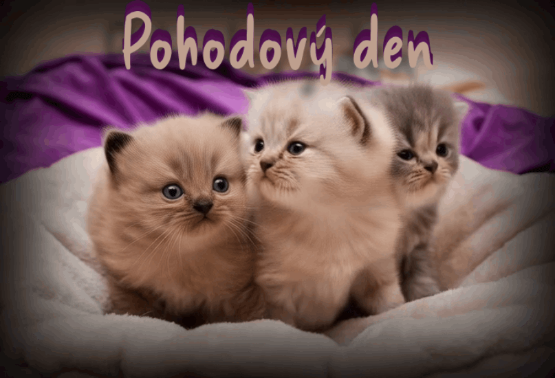 pohodovy-den