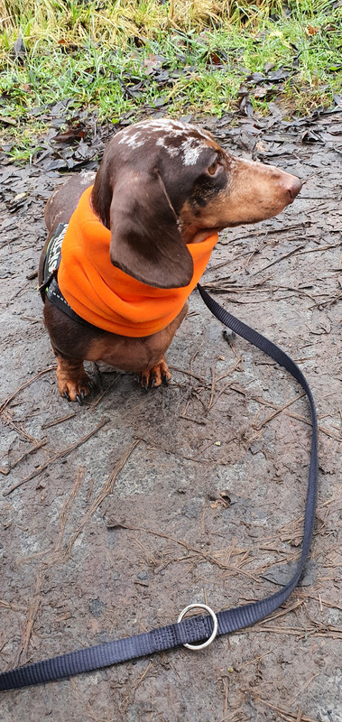 [Image: 20211218-111124.jpg]