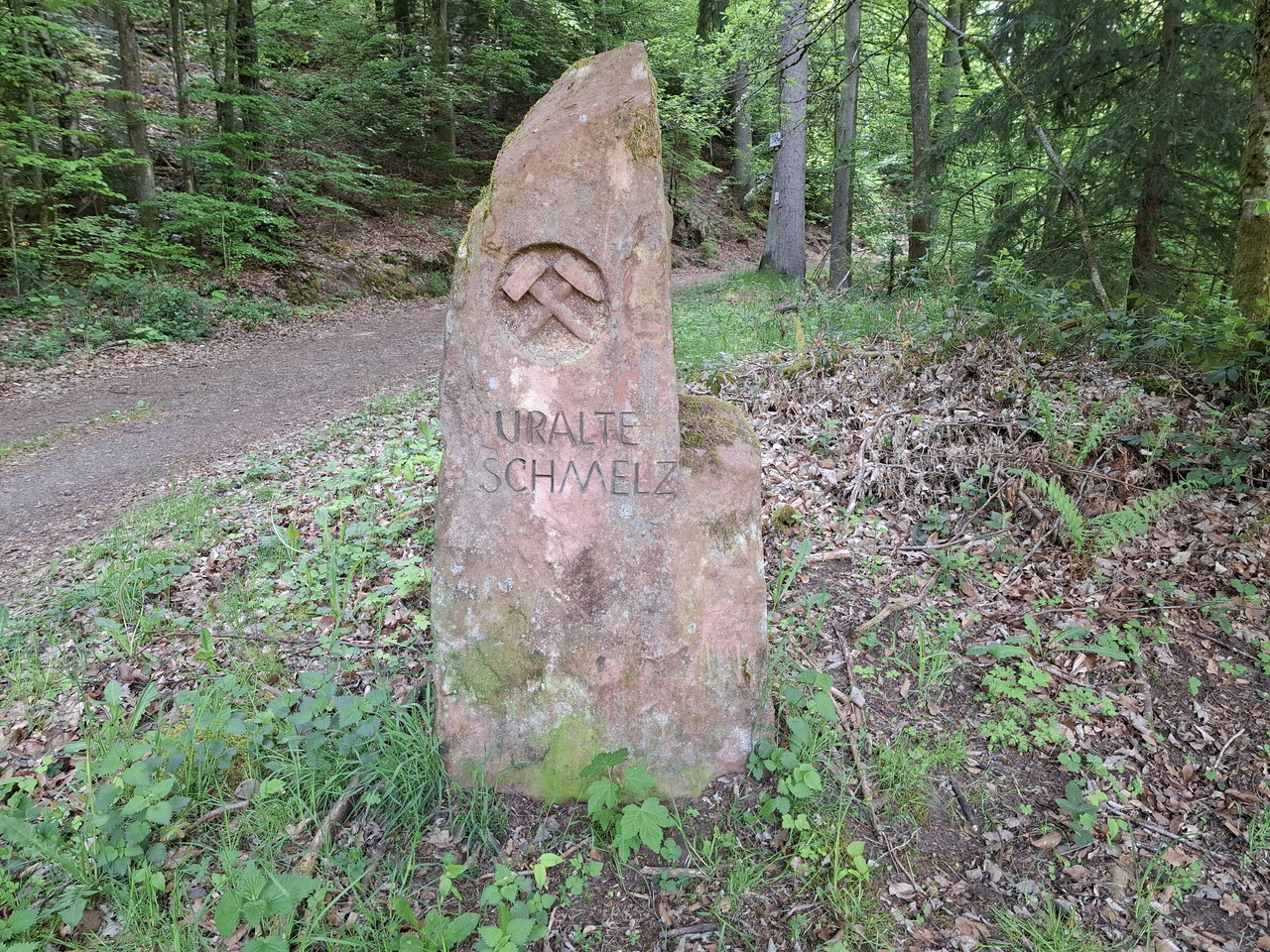 20260510-100014.jpg