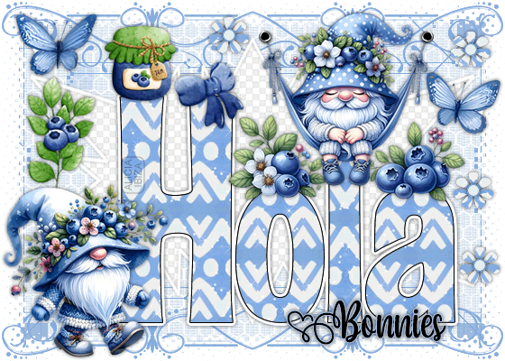 Hola Gnome Blueberry bonnies