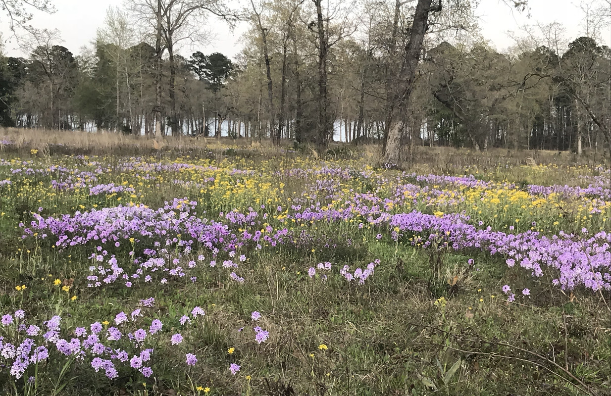 C93EBB2A-5C07-4E28-8F5E-CF37E9274C72