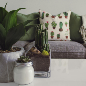 Start with what you already have