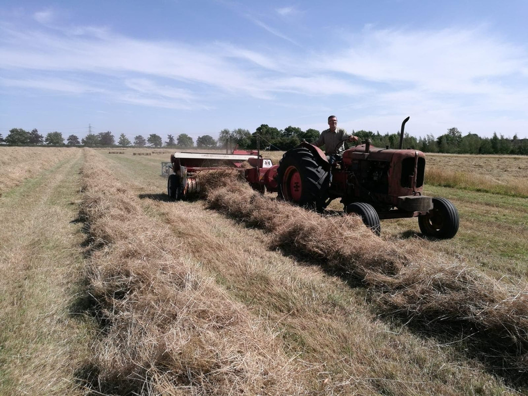 41527360_321033871809255_2036485208986877952_n