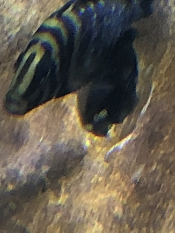 AC393D66-8CBE-420C-860D-F75C74F7CF12