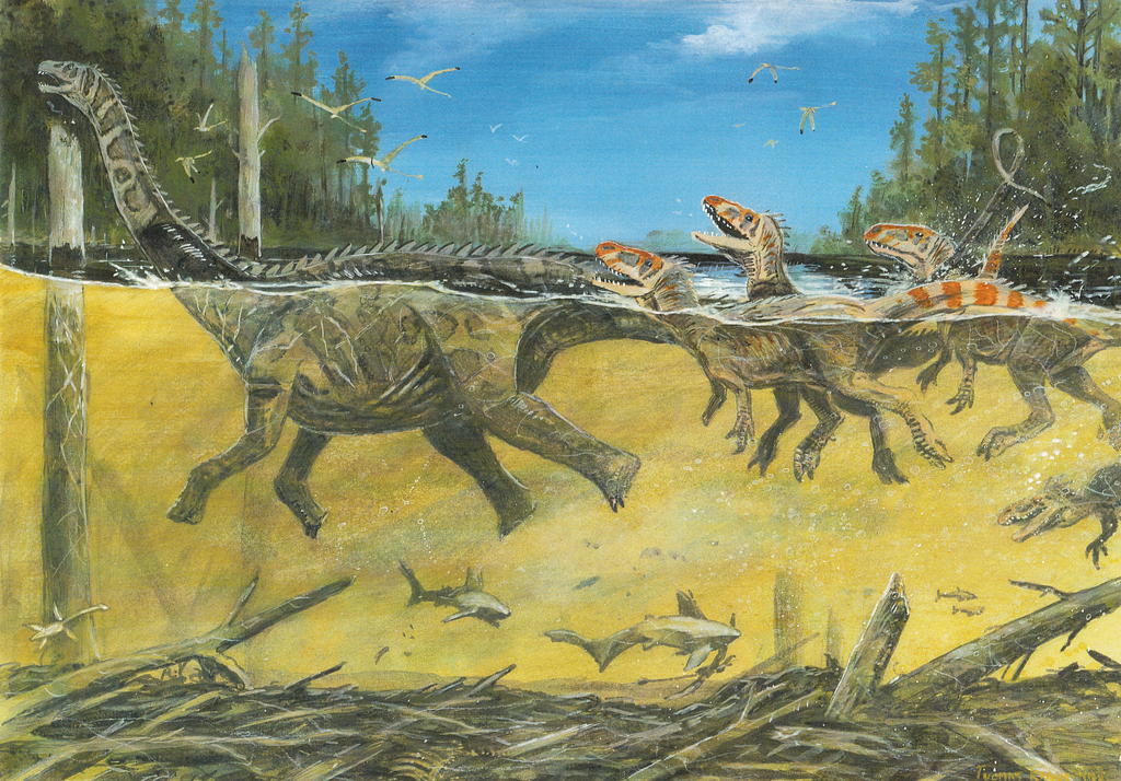 002442cf6cee4c359f549b72b409afee