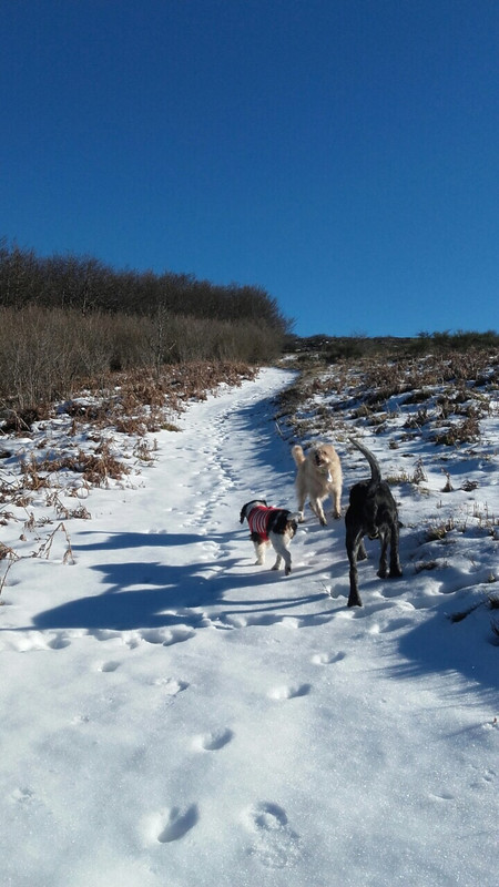 4EE61223-4C7F-4C85-8A3A-5535BD442BB0