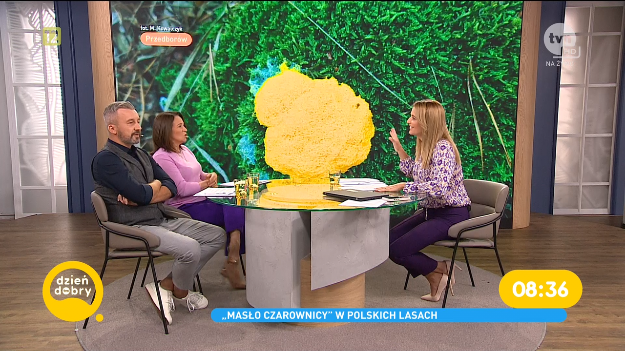 2023-09-19_Dagmara_Kaczmarek_Szalkow_TVN_010