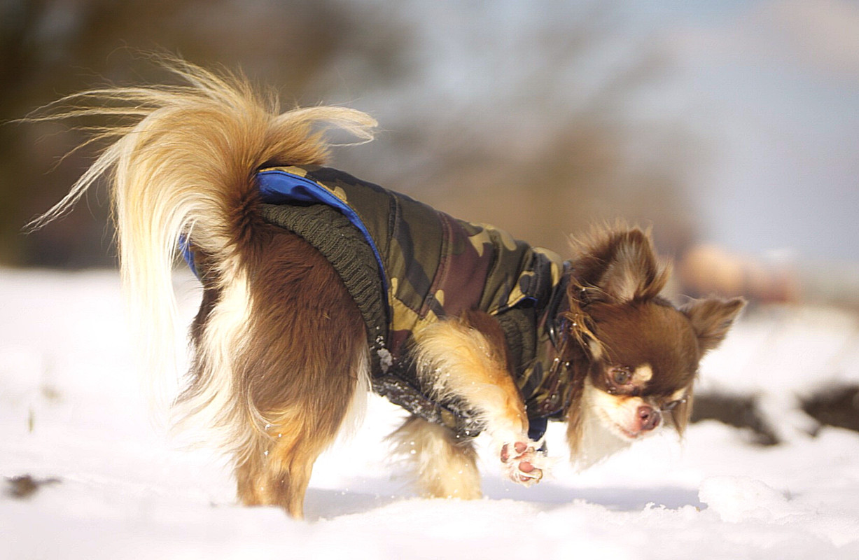 Lumii_20210210_124204732