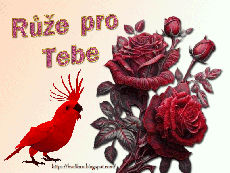 Ruze-pro-Tebe