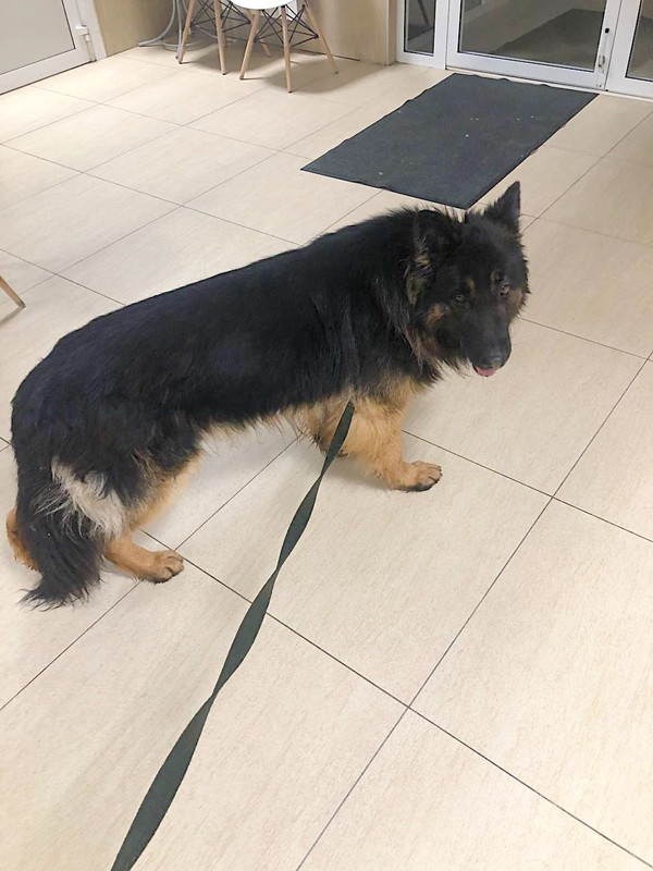 6CDC8051-2359-48F7-A5A4-633630C4A632