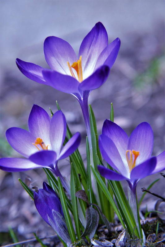 651197909-1378785447622821-5940817263074073841-n