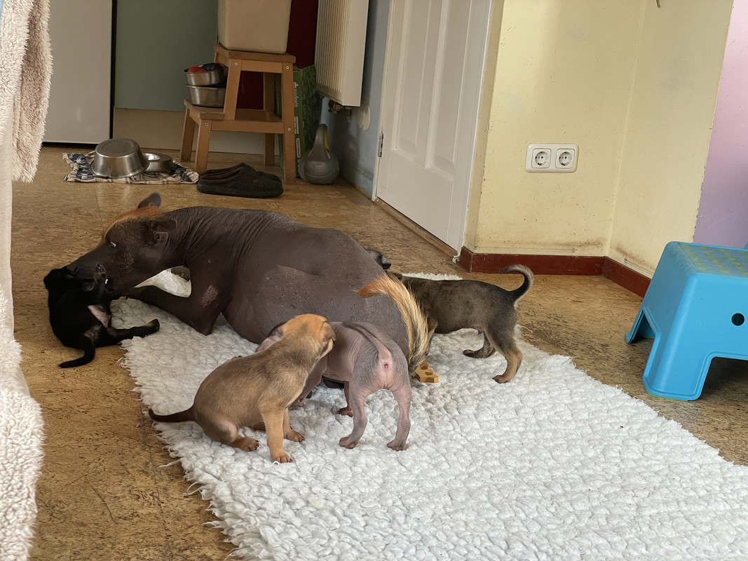 1AD8E411-BAE5-4BA6-9868-CFCFC63E864A