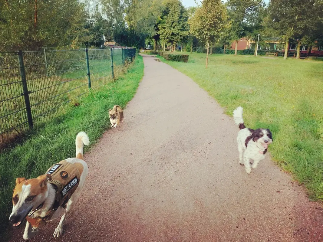 IMG_20220927_102421_480