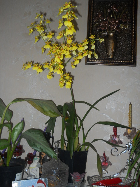 DSCN4896