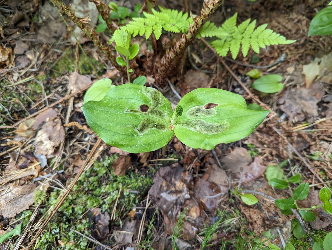 PXL_20230603_102617538