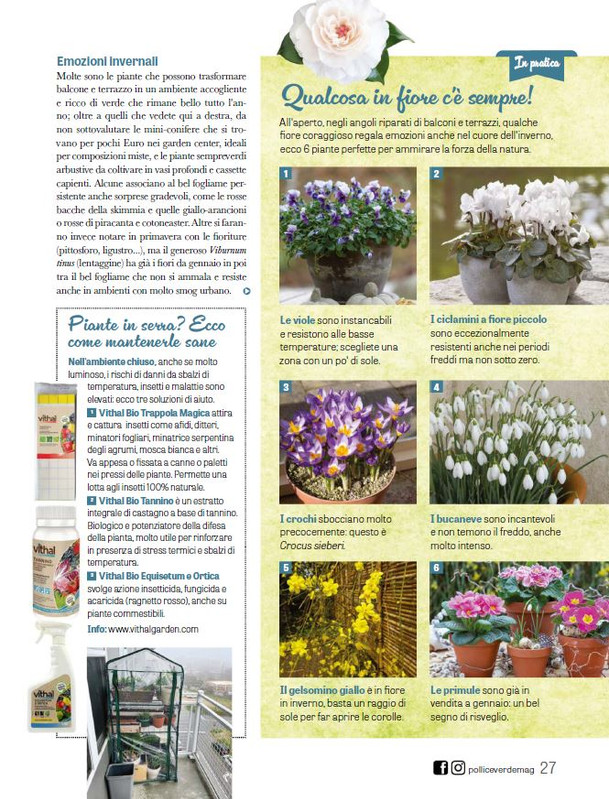 Pol Ver Dic 2025 Gen 2026 (12)