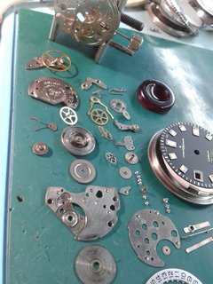 75446570_10220954650562597_147717952672628736_o