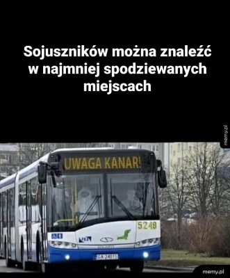 mem.jpg