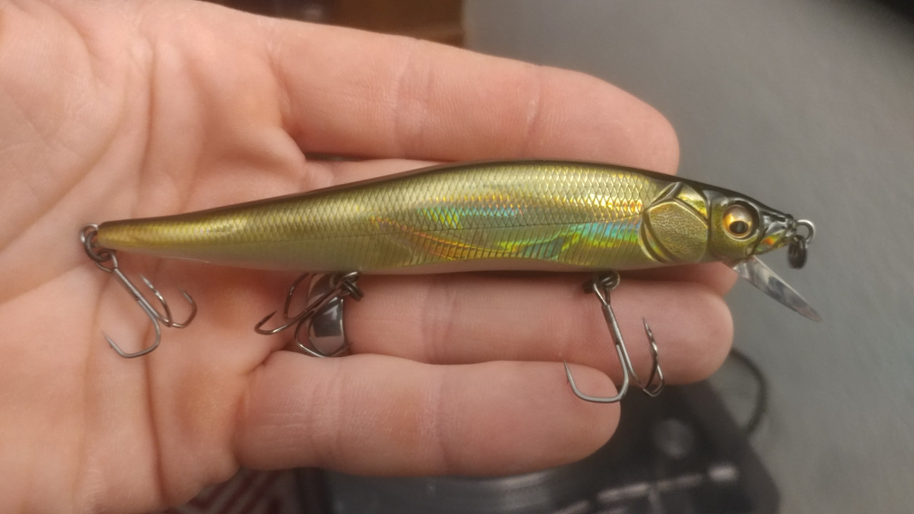 Megabass Vision 110 - Best Color? - Page 2 - TackleTour