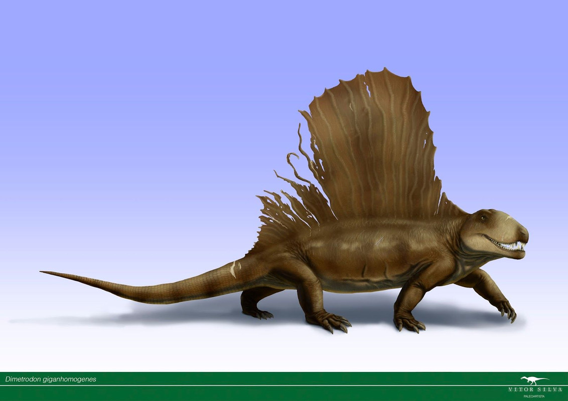 2b23778d3cc2ae3909ac51b3211ab659