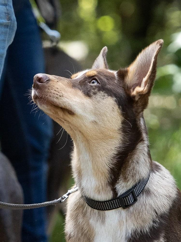 40FA563F-30AB-4926-94DE-EDE6F908B312