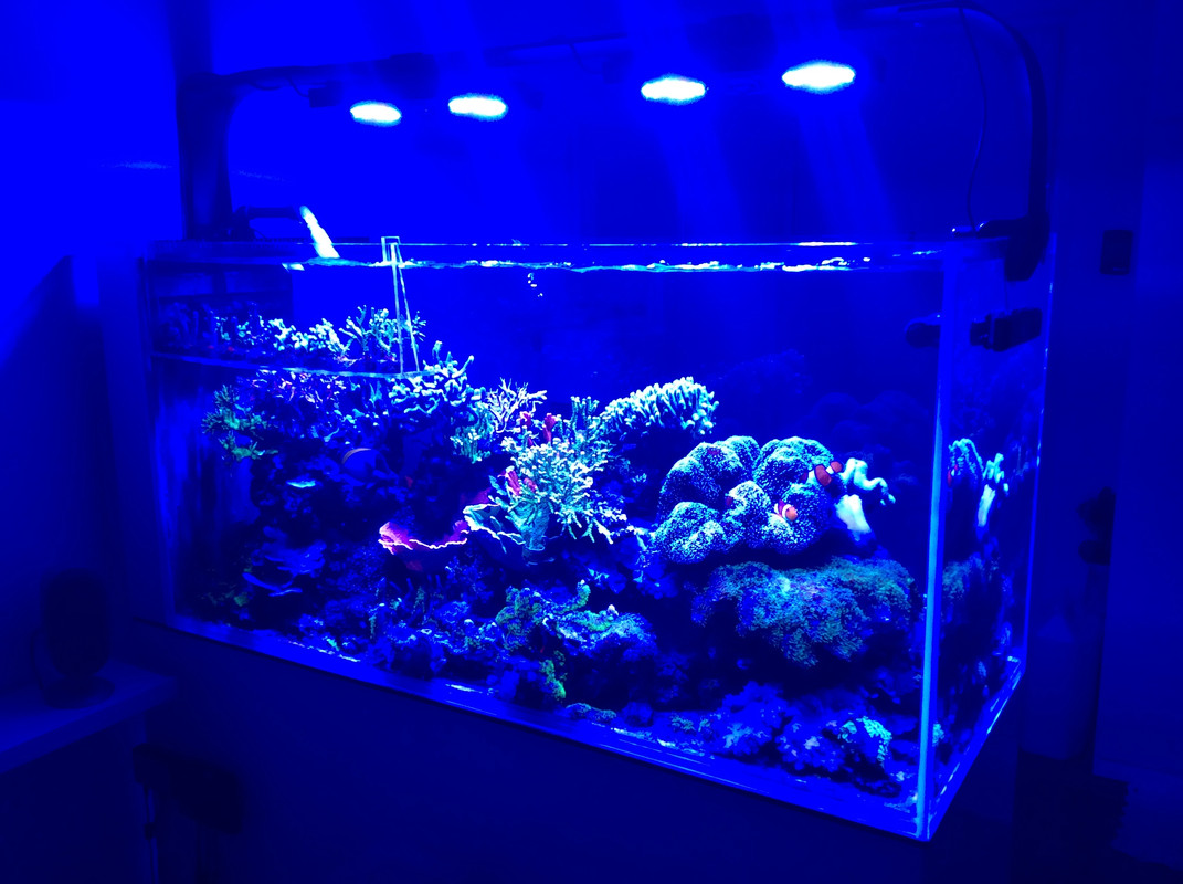 62C998DF-C2F9-4C5C-B21B-305315A40C56