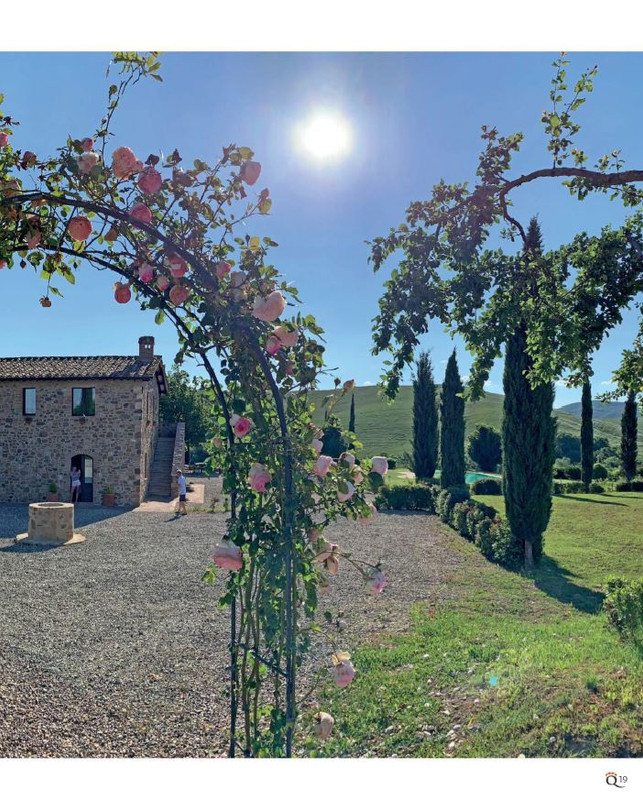 QuattroZampe Set 2022 (2)