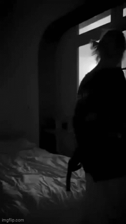 IMG-5273.gif