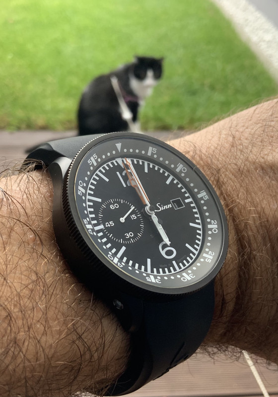 A0D1F093-2D29-425D-827B-1BD1A20B1F04