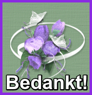 www.krabbelplaatjes.com