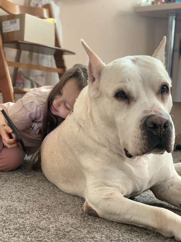 6DFD70DB-7D04-467B-A941-709AFBF9C509