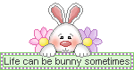 blinkie with a smiling cartoon bunny, text reads, Life can be bunny somtimes