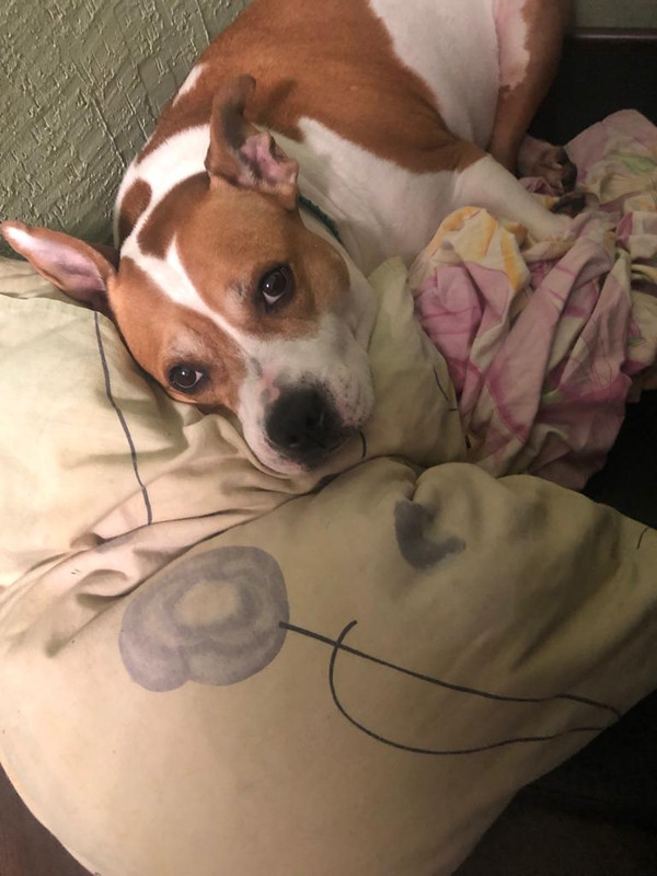 619EDCEF-68D2-4E37-8AEF-940E0EED1A80