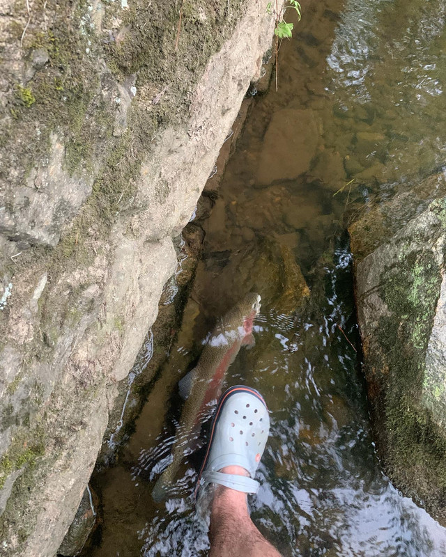 CDE19A65-9161-4E06-B16A-19D02C28E95C