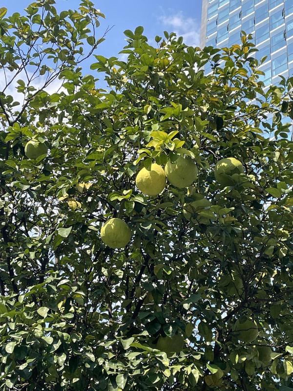 503191BD-545D-452C-A998-133D75BCB6E9