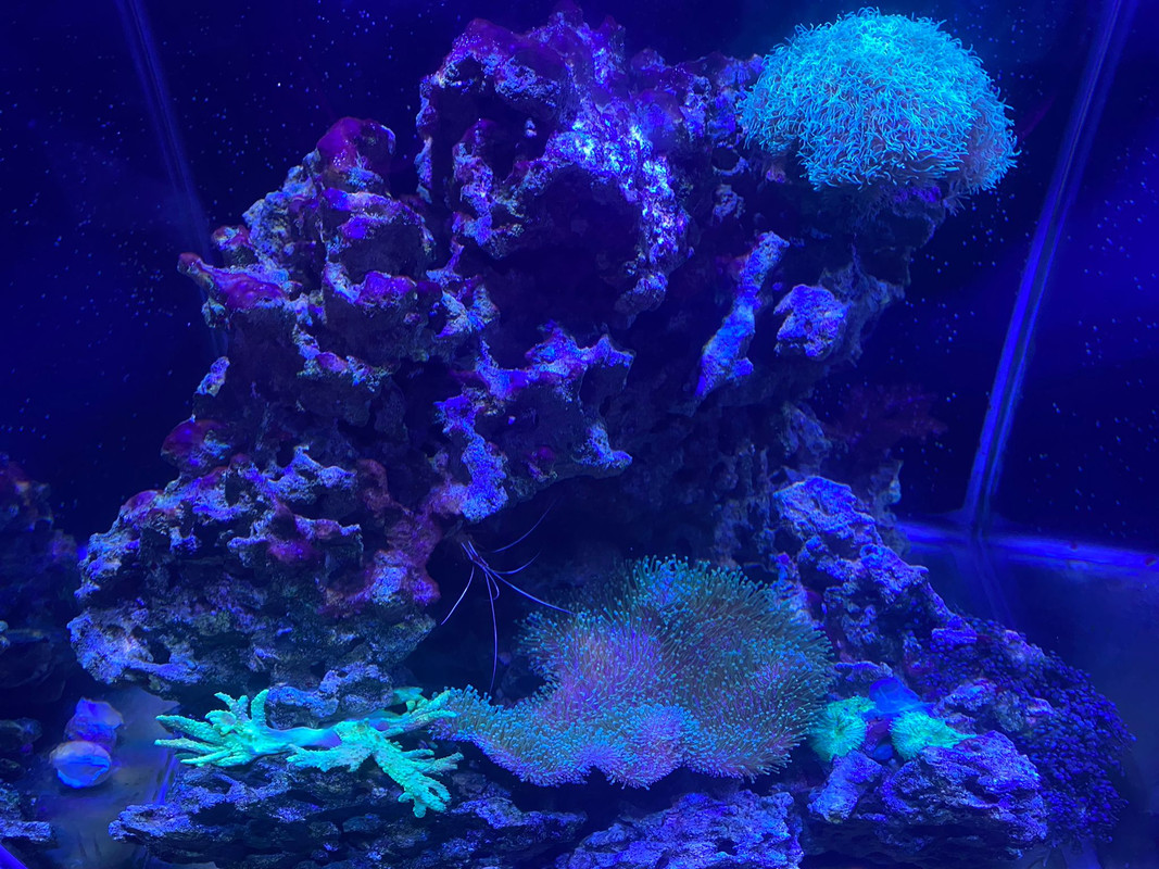 D85702DD-6EAE-4E29-8347-CBA181BDD8CB