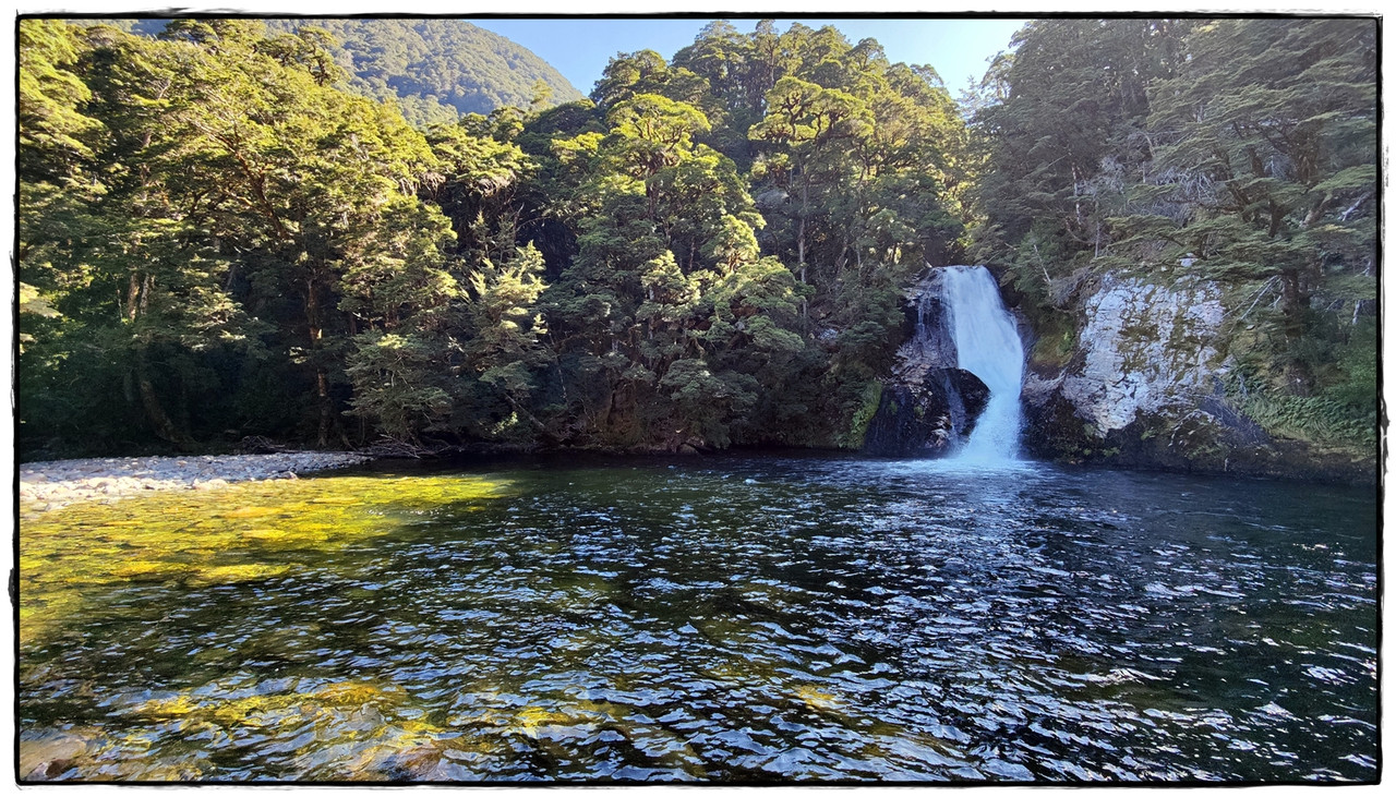 Fiordland NP: Kepler Track (febrero 2022) - Escapadas y rutas por la Nueva Zelanda menos conocida (45)