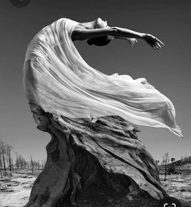 Screenshot_20230509_010728_Pinterest