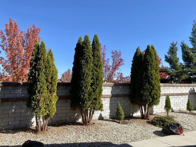 [Image: 059-F6-BF7-3-B8-E-4-C20-9-D08-53279-D268-FBA.jpg]