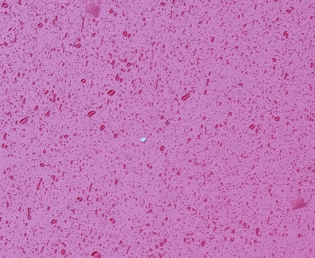 20220114-110005.jpg