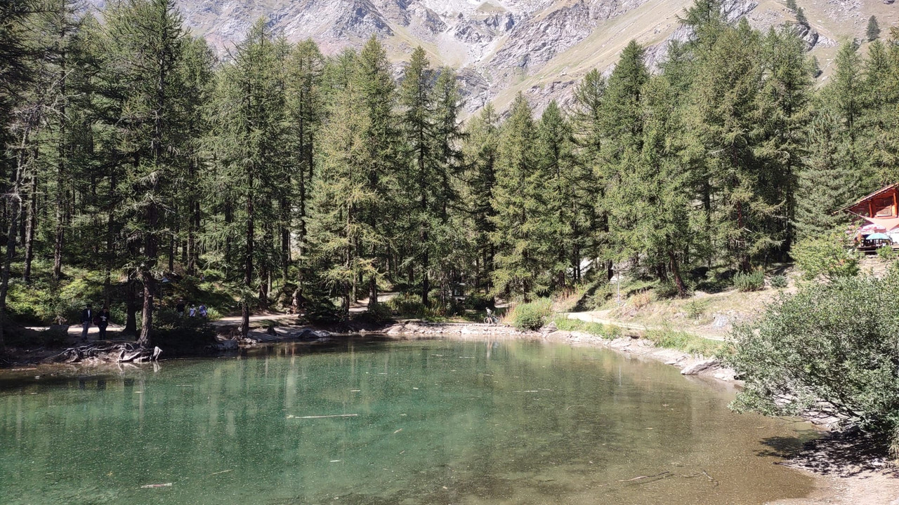 11BFF7E0-A563-4E14-B1D9-ABE5CE6EF2E5